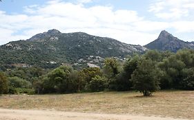 Belle Location Sur Lumio Avec Vue Remarquable Et Jardin