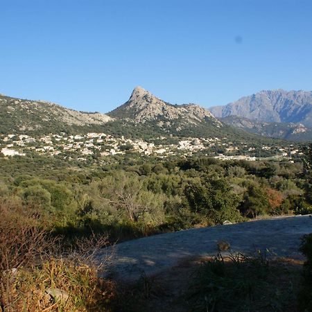 Villa Belle Location Sur Lumio Avec Vue Remarquable Et Jardin Extérieur photo