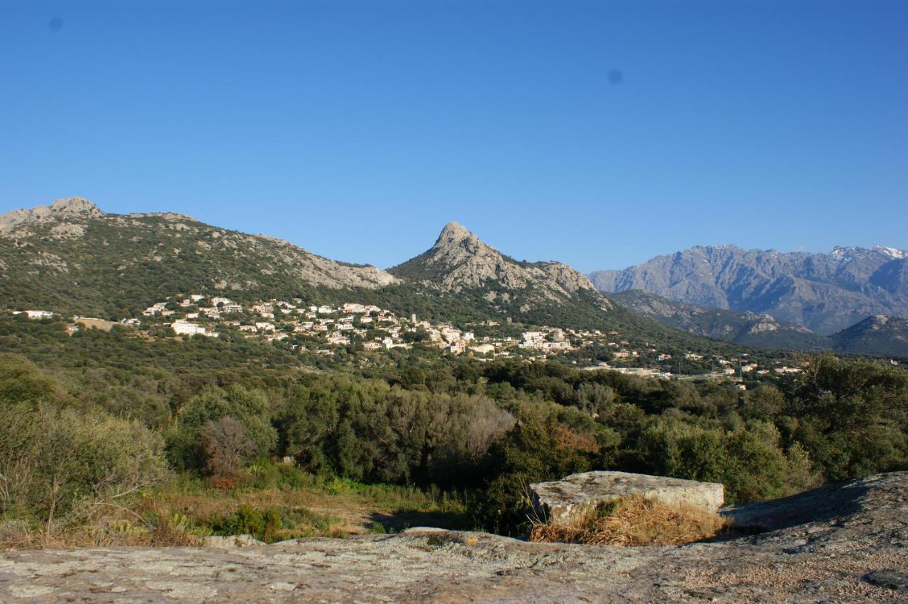 Villa Belle Location Sur Lumio Avec Vue Remarquable Et Jardin Extérieur photo