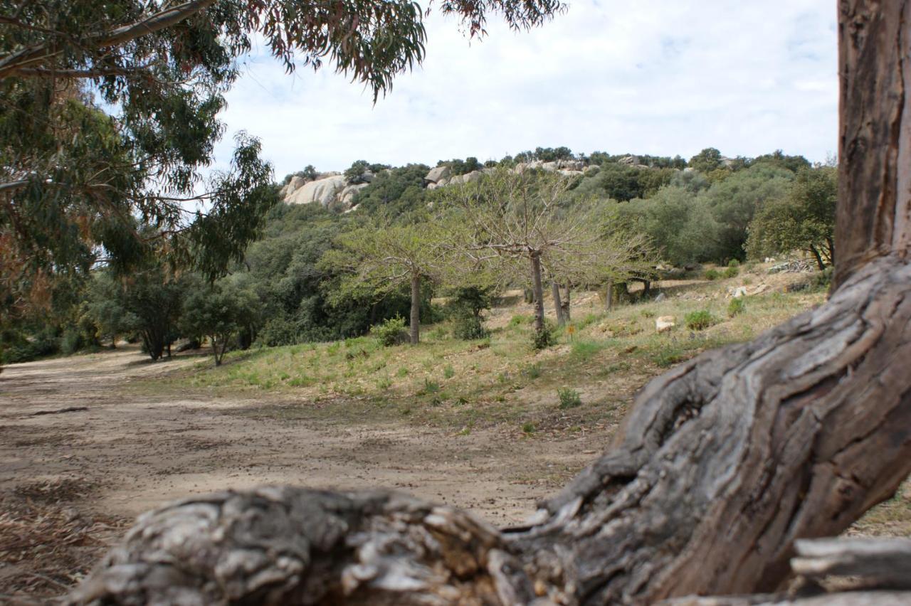 Villa Belle Location Sur Lumio Avec Vue Remarquable Et Jardin Extérieur photo