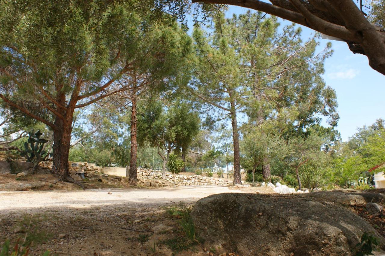 Villa Belle Location Sur Lumio Avec Vue Remarquable Et Jardin Extérieur photo