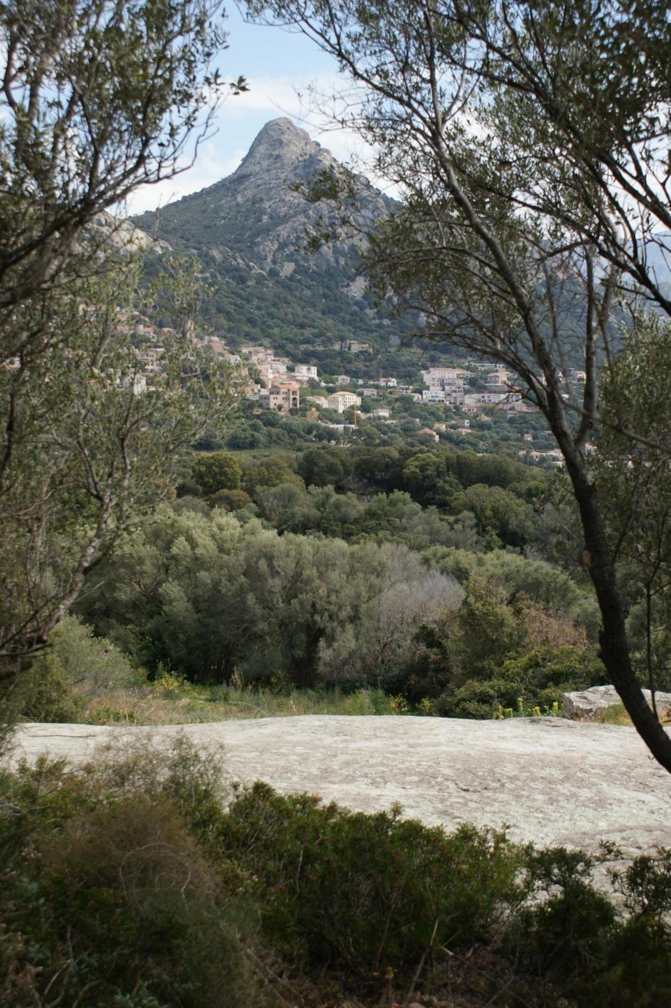 Villa Belle Location Sur Lumio Avec Vue Remarquable Et Jardin Extérieur photo